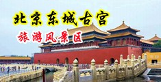 操秘书骚逼中国北京-东城古宫旅游风景区
